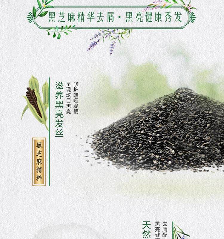 夏士莲(Hazeline)洗发水 黑亮滋养洗发露 750g(新老包装随机发货)-特惠