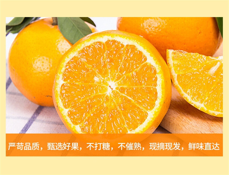 亿荟源 广西武鸣沃柑10/5斤精选果新鲜水果橘子包邮整箱皇帝贡柑桔子