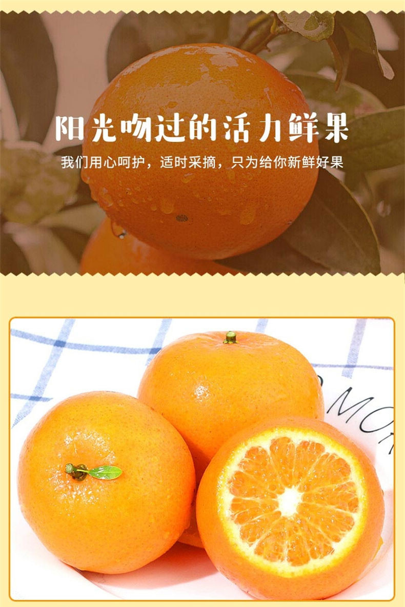 亿荟源 广西武鸣沃柑10/5斤精选果新鲜水果橘子包邮整箱皇帝贡柑桔子