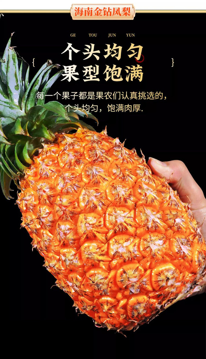 亿荟源 金钻凤梨小菠萝海南热带水果