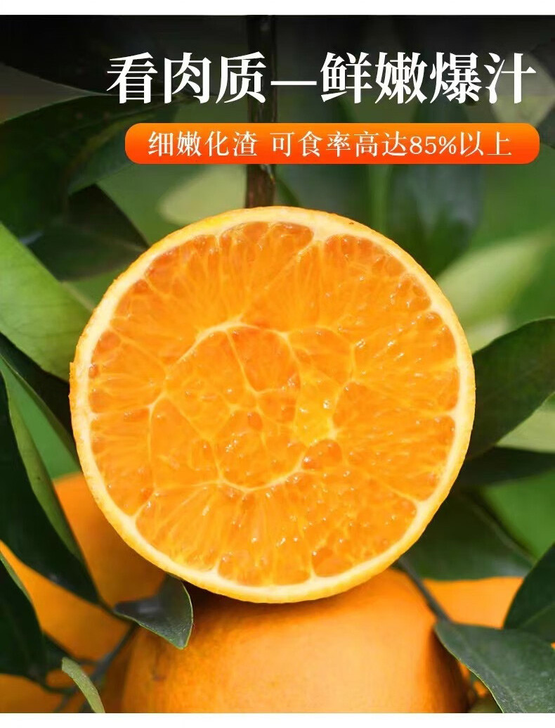 亿荟源 【现摘现发】奉节脐橙伦晚脐橙新鲜水果当季现摘水果