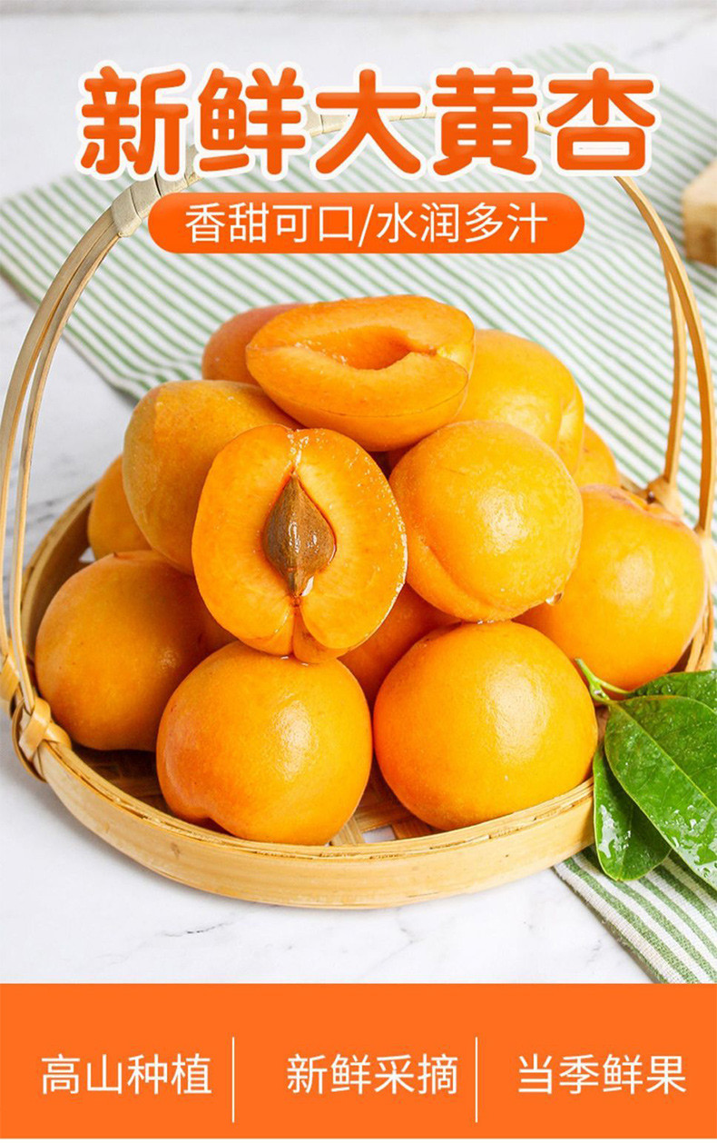 亿荟源 【现摘现发】陕西大黄杏酸甜大杏子脆软双吃时令水果新鲜水果颗颗