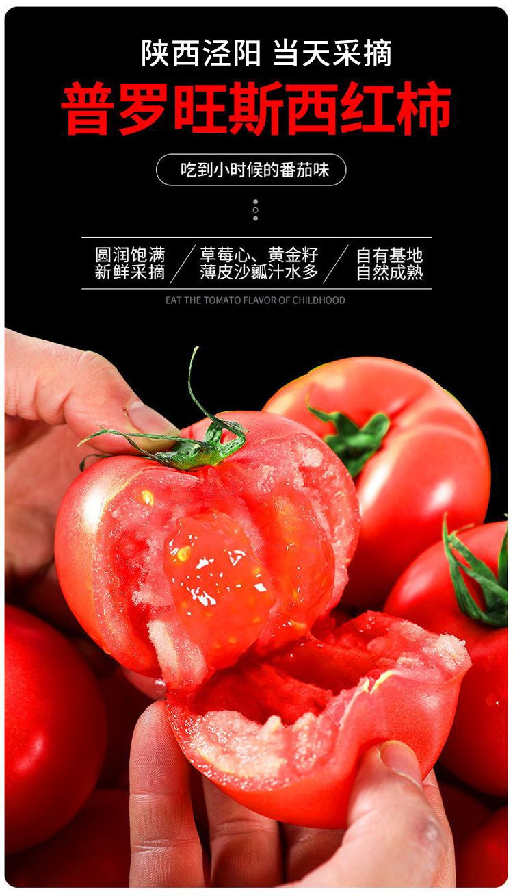 亿荟源 正宗泾阳普罗旺斯西红柿番茄蔬菜水果