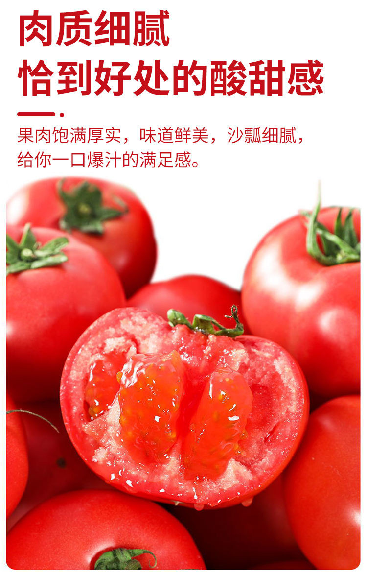亿荟源 正宗泾阳普罗旺斯西红柿番茄蔬菜水果