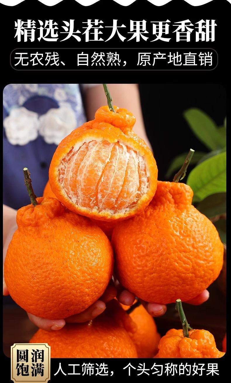 亿荟源 [现摘现发】晚熟套袋不知火丑橘新鲜水果桔橘子丑八怪耙耙柑