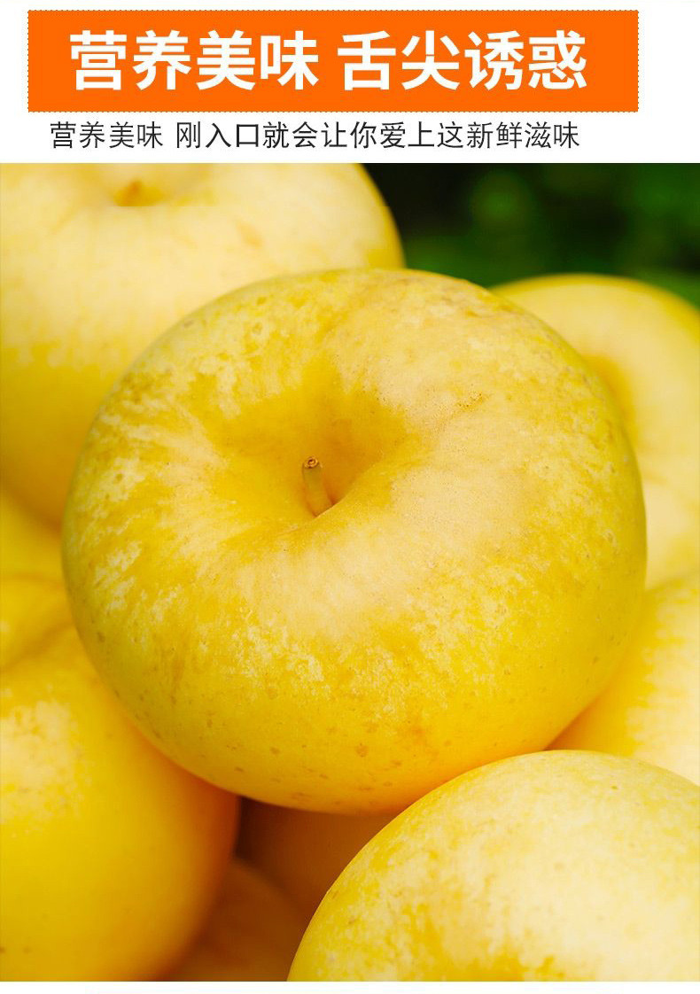 亿荟源 维纳斯金苹果山东维纳斯黄金苹果奶油雀斑丑苹果时令水果