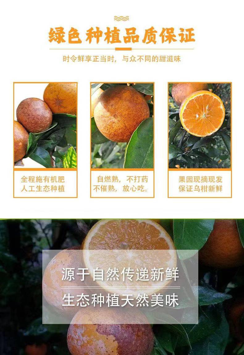 亿荟源 广西乌柑新鲜水果蜜橘柑橘桔子 中果5斤60-65mm 25-30个斤