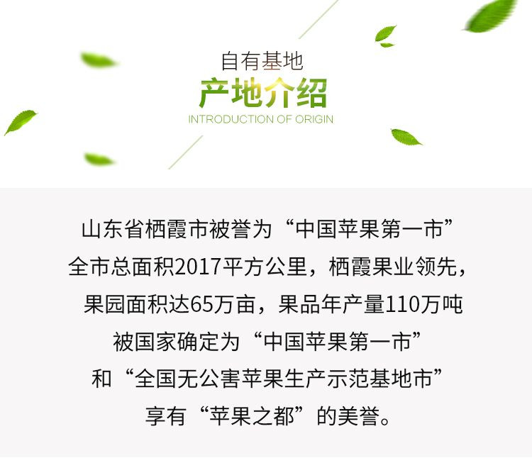 亿荟源 【限量特价】山东助农烟台红富士苹果新鲜时令应季新鲜水果源产地