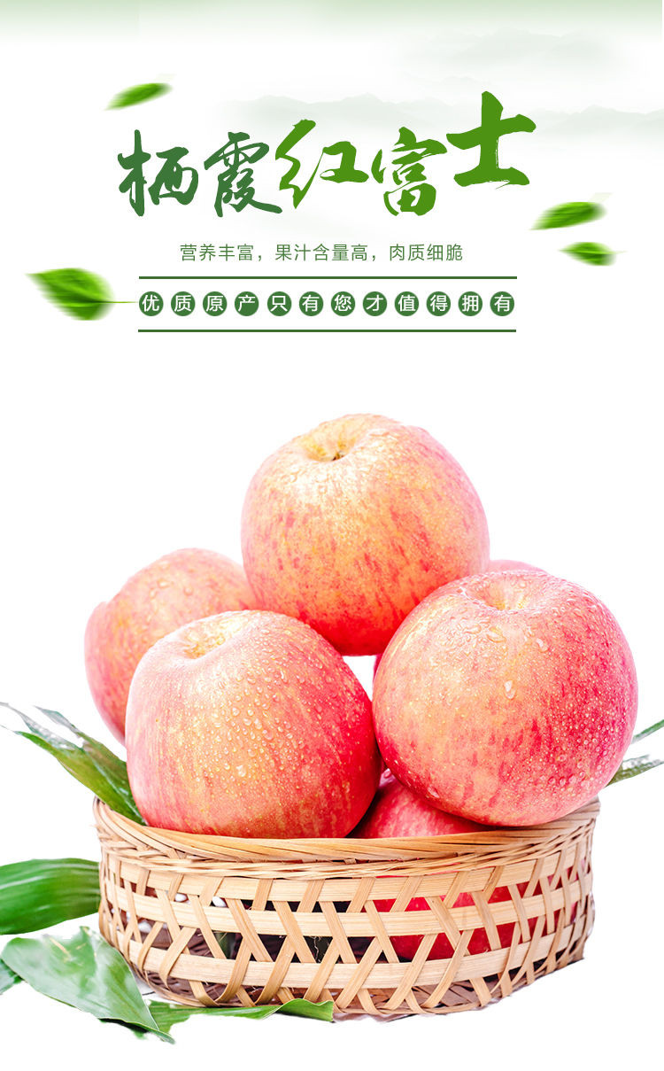亿荟源 【限量特价】山东助农烟台红富士苹果新鲜时令应季新鲜水果源产地
