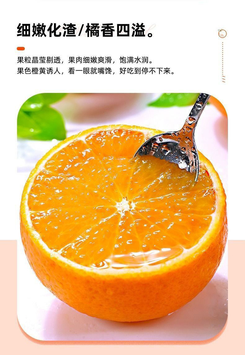 亿荟源 【现摘现发】四川青见柑橘套袋果冻橙新鲜手剥时令应季新鲜水果源