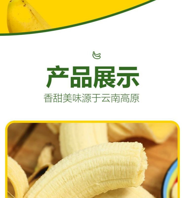 亿荟源 西双版纳威廉斯香蕉新鲜时令应季新鲜水果源产地直发