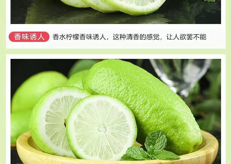 亿荟源 无籽香水柠檬奶茶店同款网红青柠檬