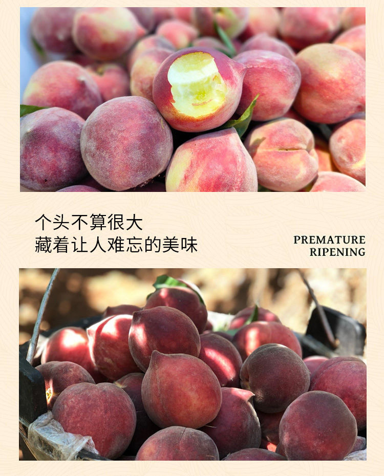亿荟源 【顺丰快递】胭脂血桃蜜桃新鲜桃子新鲜时令应季新鲜水果产地直发