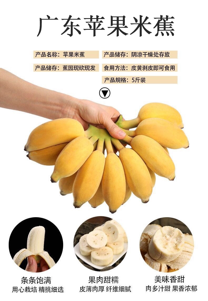 亿荟源 苹果蕉（粉蕉）新鲜时令应季新鲜水果产地直发香蕉