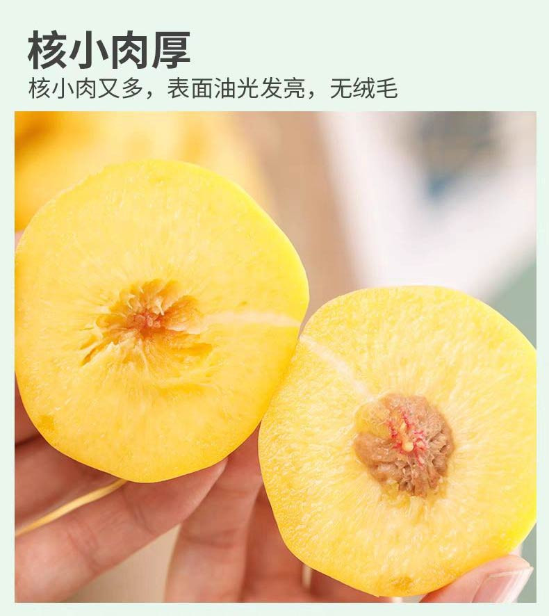 亿荟源 蜂蜜黄金油蟠桃应季时令水果新鲜水果产地直发礼盒