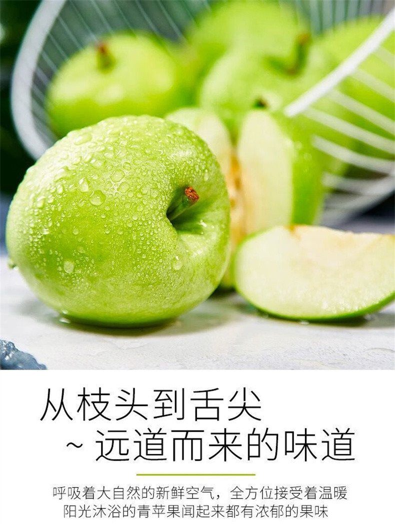 亿荟源 【现摘现发】青苹果新鲜时令应季新鲜水果源产地直发