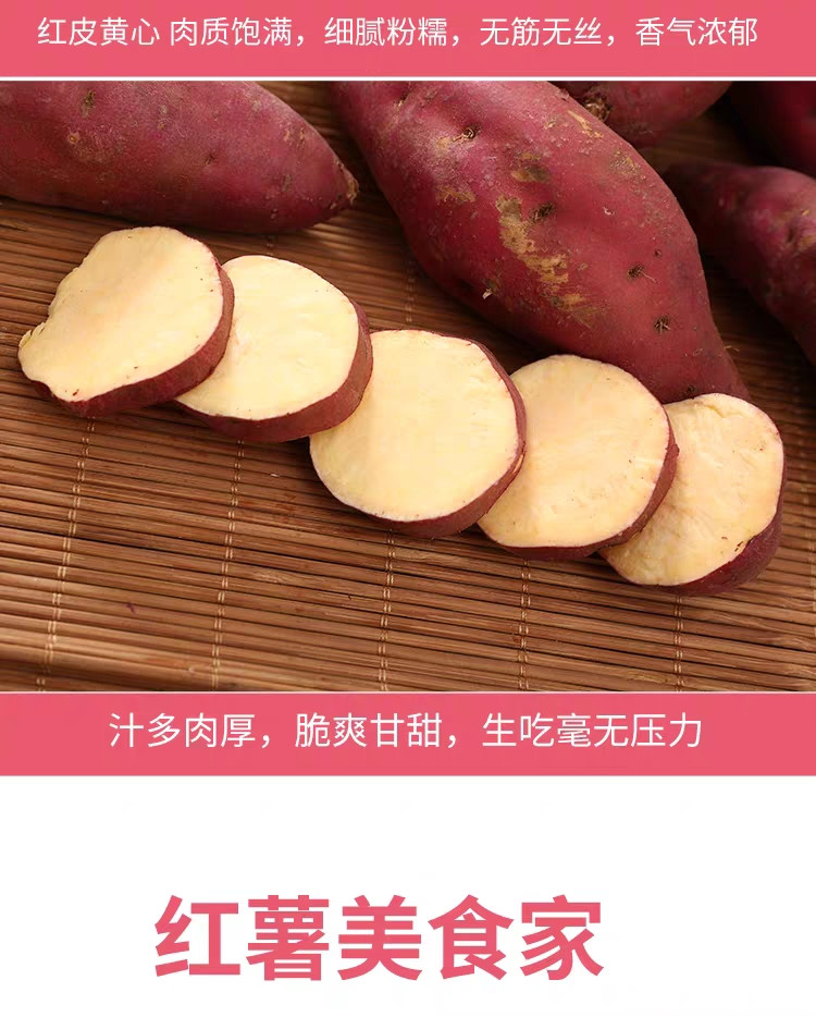 亿荟源 陕西板栗红薯新鲜番薯地瓜应季蔬菜杂粮