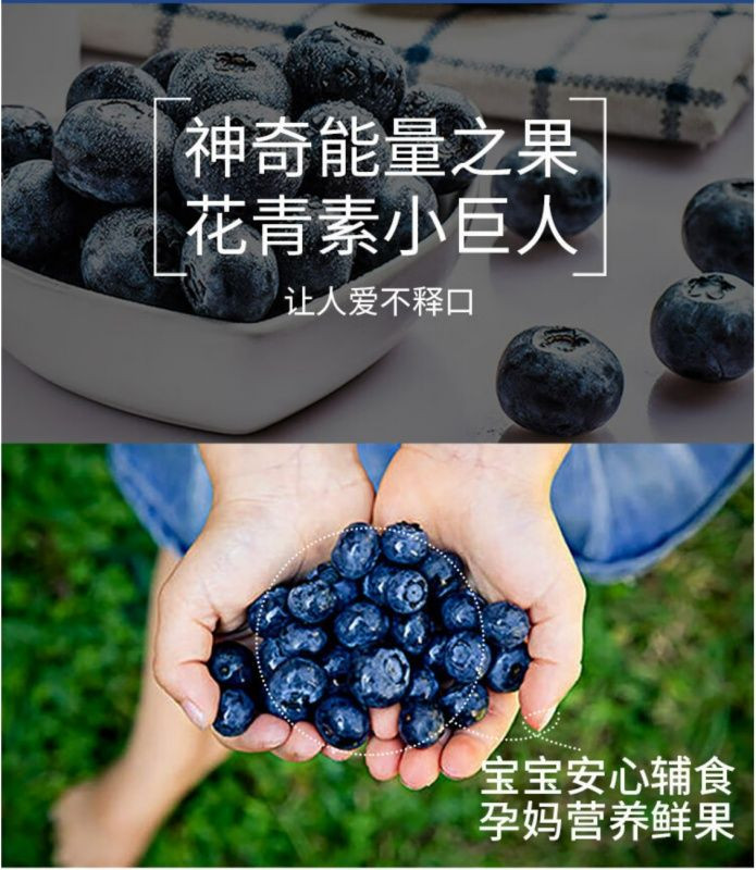 亿荟源 【顺丰京东空运包邮】云南精品蓝莓新鲜水果精选年货源头直发