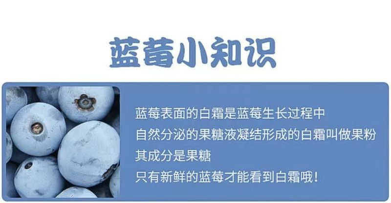 亿荟源 【顺丰京东空运包邮】云南精品蓝莓新鲜水果精选年货源头直发