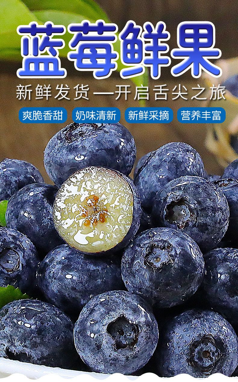 亿荟源 【顺丰京东空运包邮】云南精品蓝莓新鲜水果精选年货源头直发