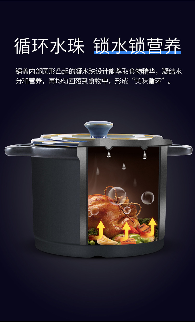 炊大皇/COOKER KING 卓玺陶瓷煲3.2L