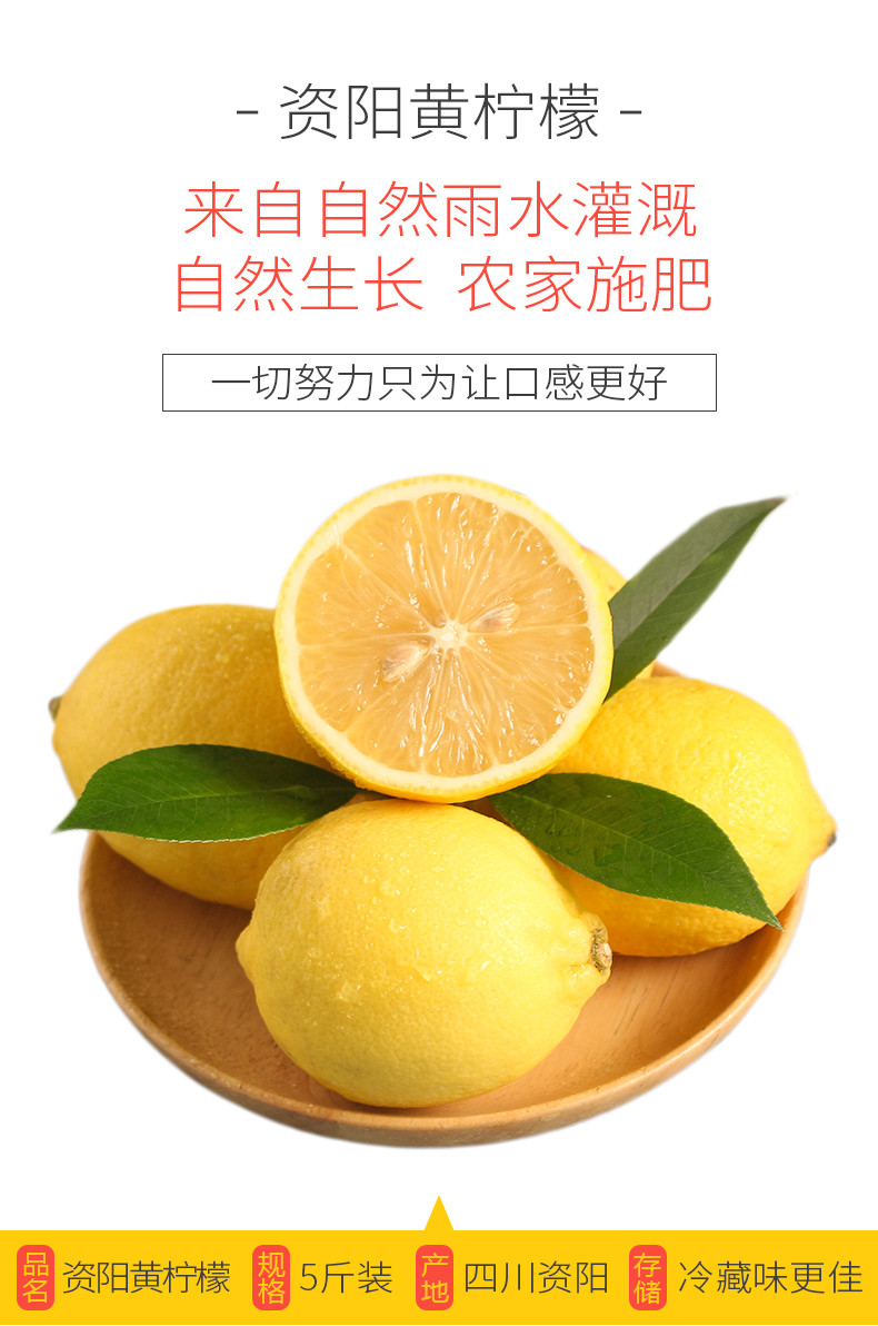 【48小时内发货】现摘新鲜安岳黄柠檬8个装/5斤装 当季整箱一级水果 皮薄青香型 香水柠檬 柠檬