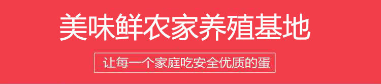 【超大松花蛋】松花蛋皮蛋无铅糖心皮蛋50-80g鸭蛋松花蛋皮蛋批发