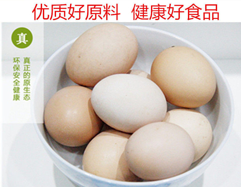  大蛋 每个50-60g土鸡蛋柴鸡蛋新鲜鸡蛋 破损包赔10/20/30/40个装