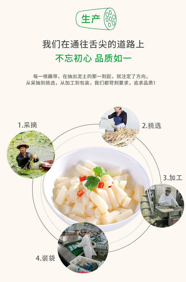  洪湖藕带泡椒酸辣味下饭菜湖北特产泡藕尖酸菜微辣泡菜3包泡藕带