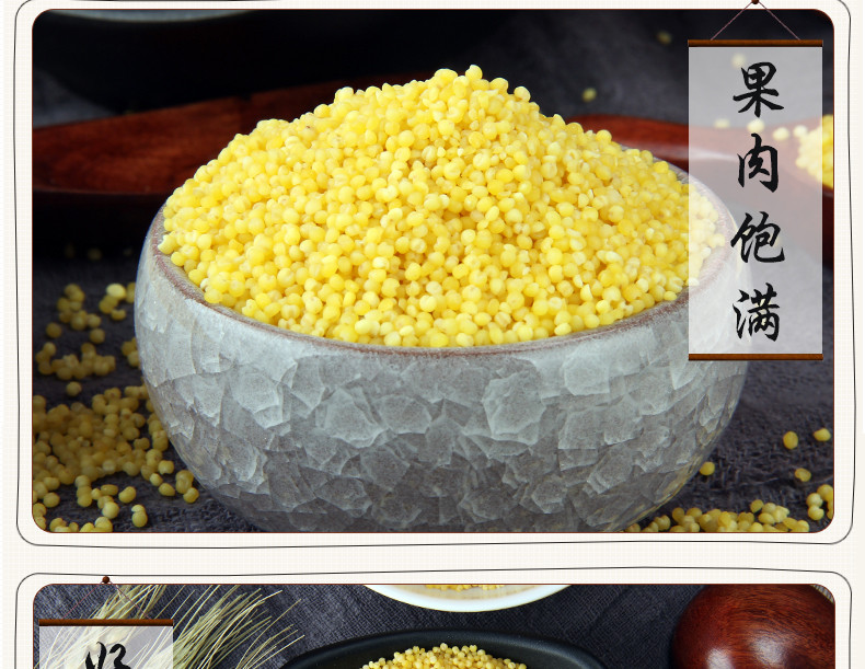  黄小米 新米5斤农家自.产 吃的米.脂小米粥小黄米五谷杂粮