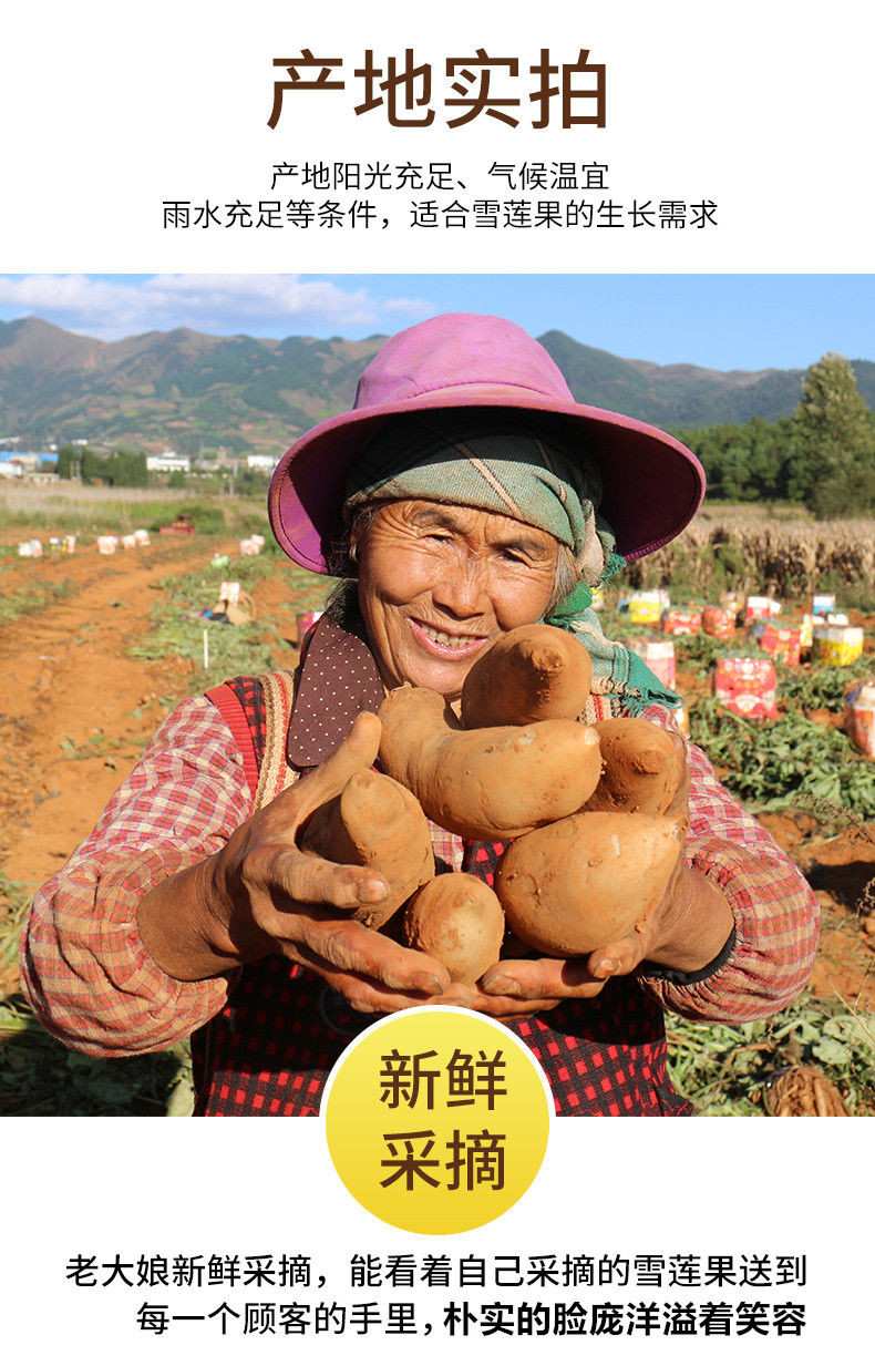 云南天山雪.莲果带箱5/10批发新鲜水果现挖红泥沙