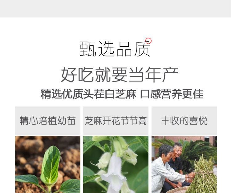 熟白芝麻熟黑芝麻现炒熟芝麻即食免洗干吃干净无沙包邮农家粗粮