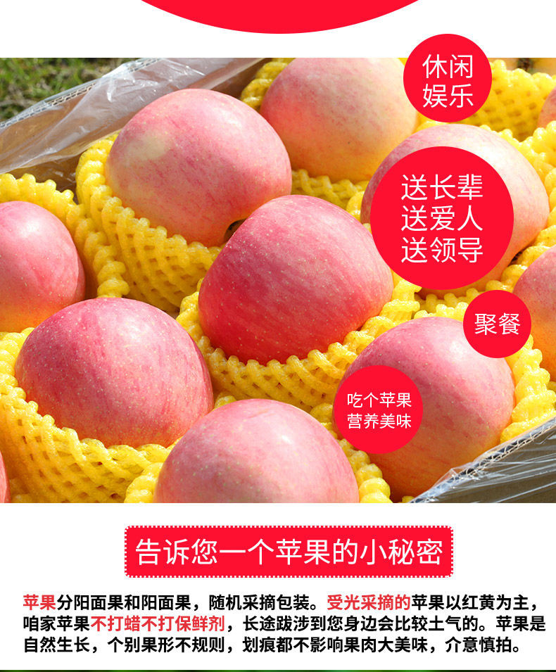 山东烟台栖霞红富士苹果脆甜新鲜水果3/5/10斤孕妇冰糖心批发整箱