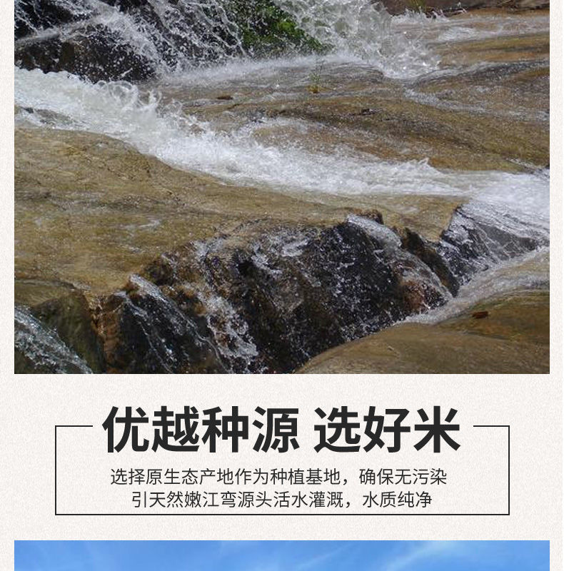  亿金稻田2020新米正宗稻花香米白粥米大米厂家直发10斤装全场包邮