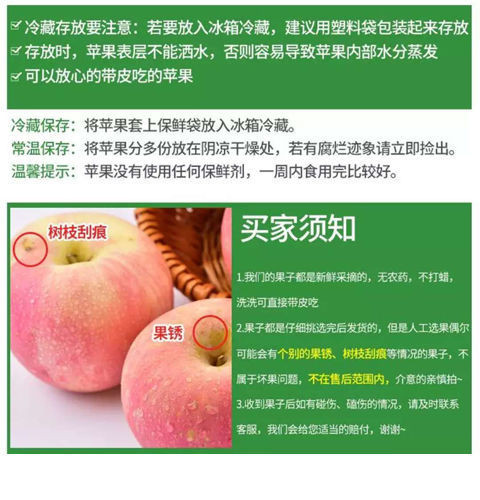 现摘现发陕西山西新鲜红富士苹果冰糖心脆甜苹果水果批发10/5斤