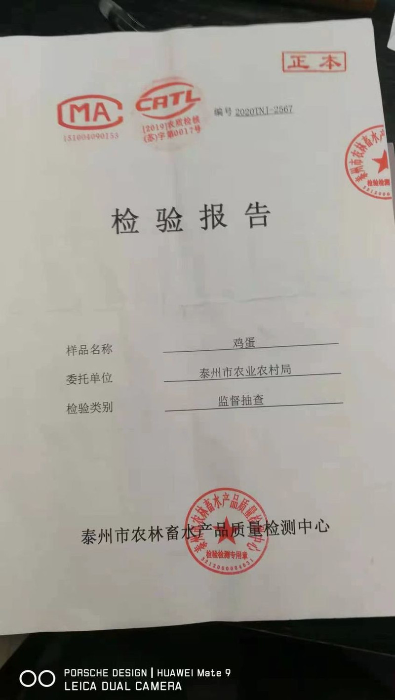 40枚农家正宗土鸡蛋散养农村笨鸡蛋新鲜营养20枚柴鸡蛋整箱批发