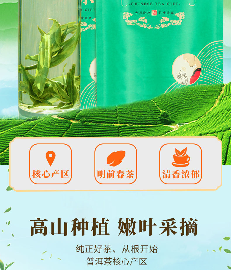 云南绿茶 2021新茶叶手工普洱茶明前春茶高档碧螺春批发价