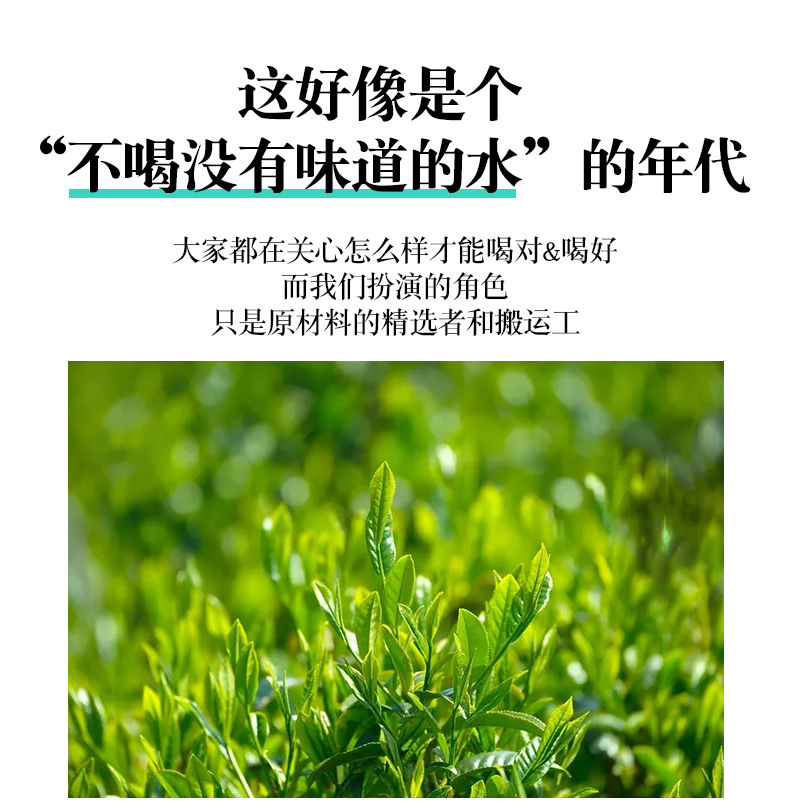  蜜桃白桃乌龙茶三角茶包养颜茶组合花茶养生花果茶水果茶