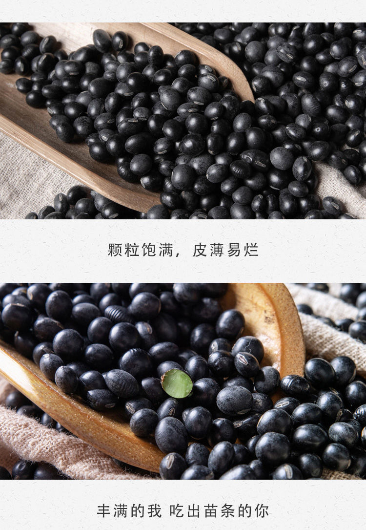 【不满意包退】绿心黑豆农.家自产大黑豆新货青仁乌豆五谷杂粮散装