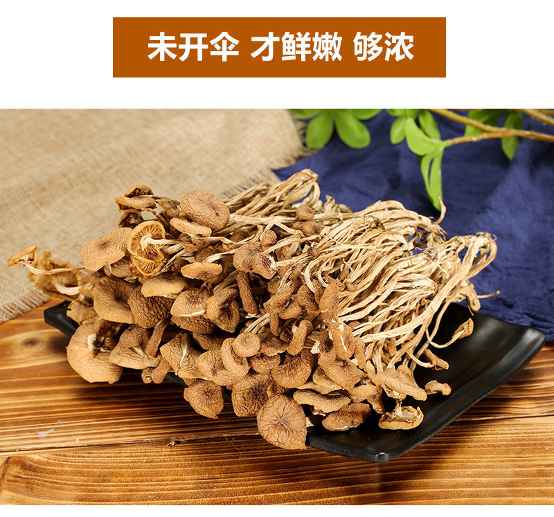  古田茶树菇农家特产干货特级不开伞茶树菇无硫2020年新货50g250g