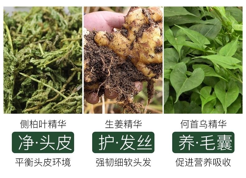 防脱洗发水生发增发密发液倩滋洗头膏生姜止痒控油去屑增长洗发露