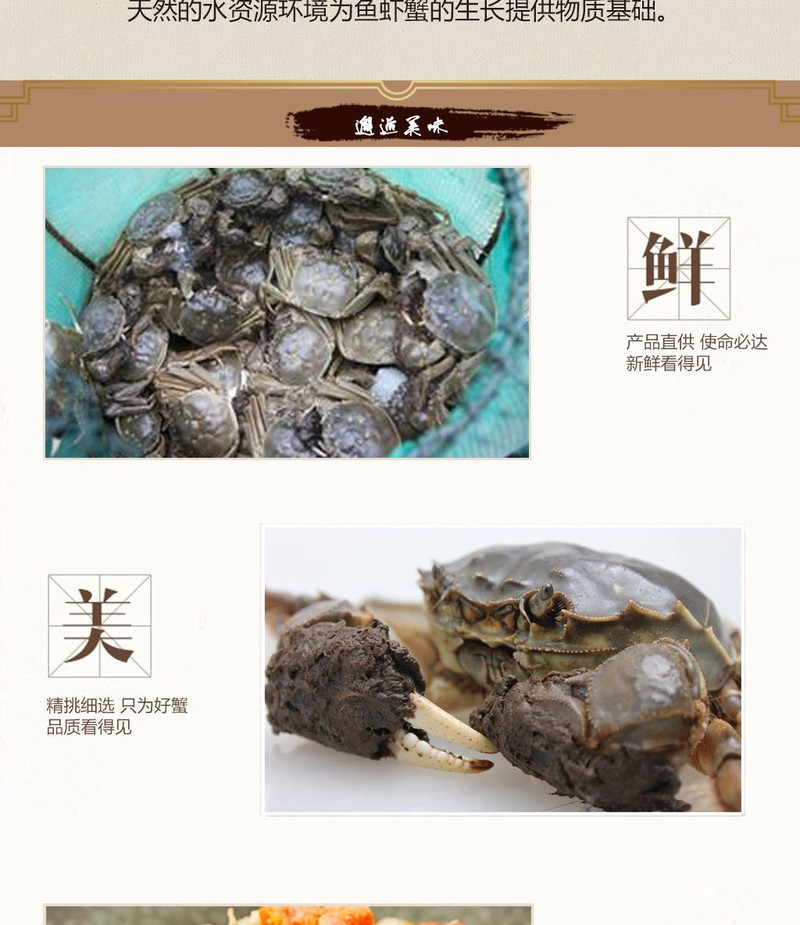 中国邮政 老渔夫牌沱湖螃蟹：2两母5只、3两公5只装