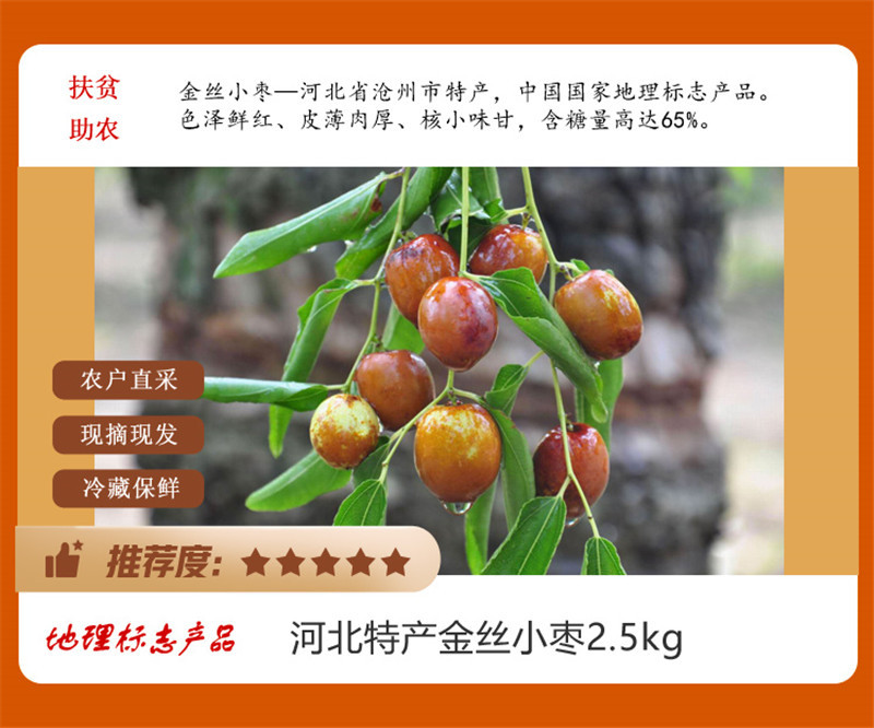 【919拼团】金丝小枣5斤鲜枣  河北特产 扶贫助农  预售 9月18日发货
