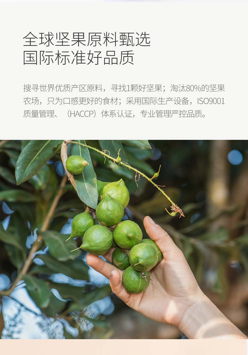 薇娅直播推荐【领券立减40元/48小时发货】荷乐士每日坚果奶200mlx12混合坚果乳植物奶礼盒