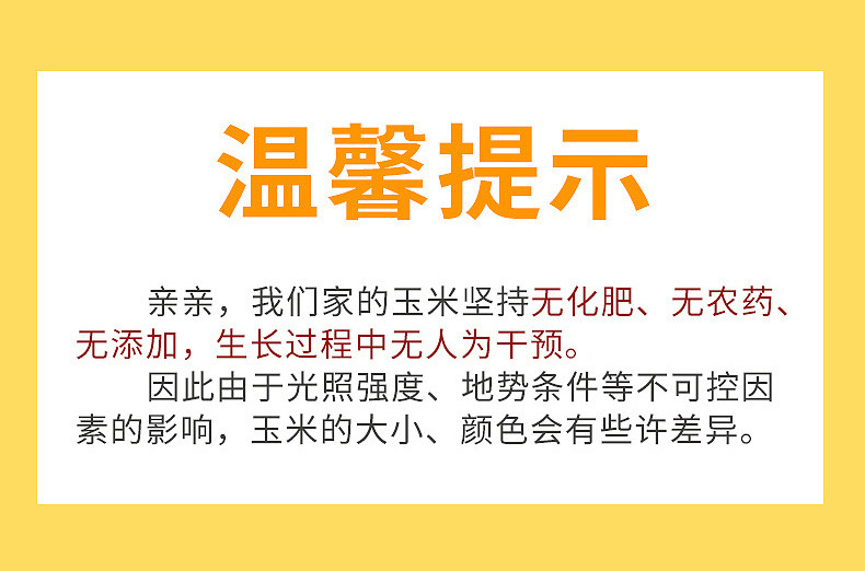 稻宝昌东北鲜制黄糯玉米棒非转基因真空包邮2600g/箱/10穗