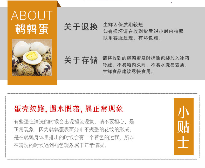 【48小时发货】鹌鹑蛋50枚(买一送一共发100枚)新鲜生鹌鹑蛋农家散养宝宝辅食营养鹑鸟蛋非鸡蛋