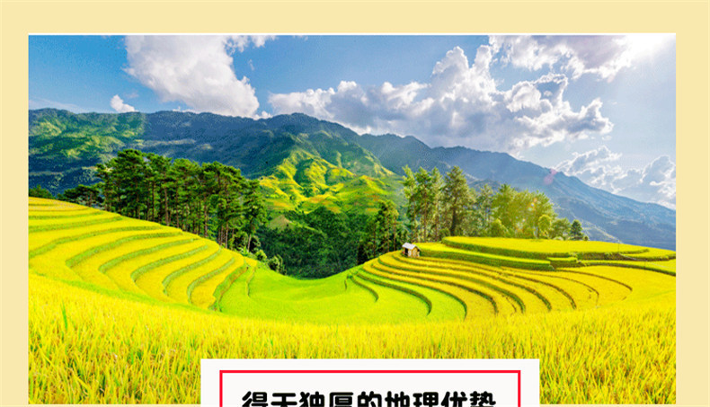 【领券立减5元】东北大米包邮 2.5kg五常大米煮粥煮饭米自然生产 新大米真空包装5斤