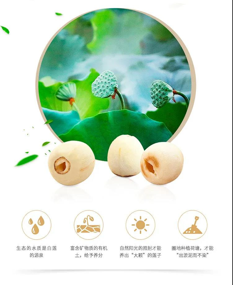 【领券立减5元】莲子干货250g/500g包邮 磨皮去心白莲子干连子无心去芯莲子