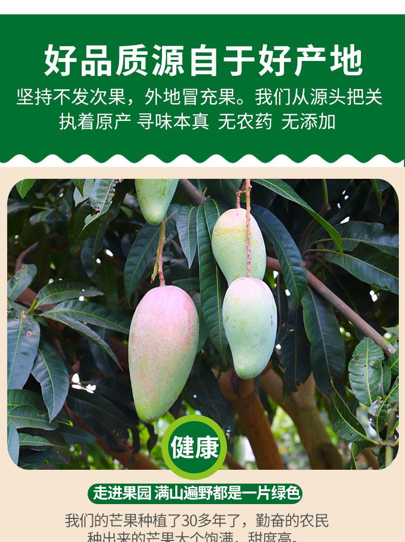 【领券减5元】金煌芒5斤 甜心芒果热带水果芒果当季水果水仙芒