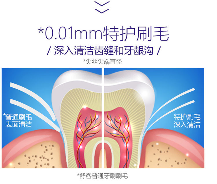 舒客专业特护 护龈牙刷*2支装 细软毛洁齿成人小刷头牙刷